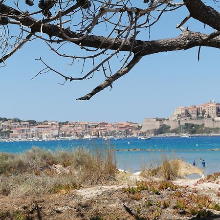 Residence Thalassa Calvi  Exteriér fotografie